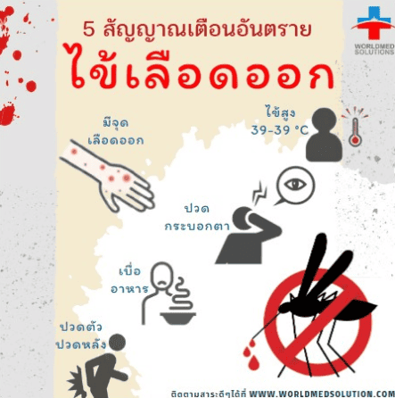  5 สัญญาณเตือนอันตรายของไข้เลือดออก