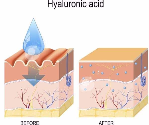 Hyaluronic Acid คืออะไร ? มาไขความลับผิวอ่อนวัยไปพร้อมกัน